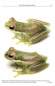 Preview: Amphibians of Cambodia